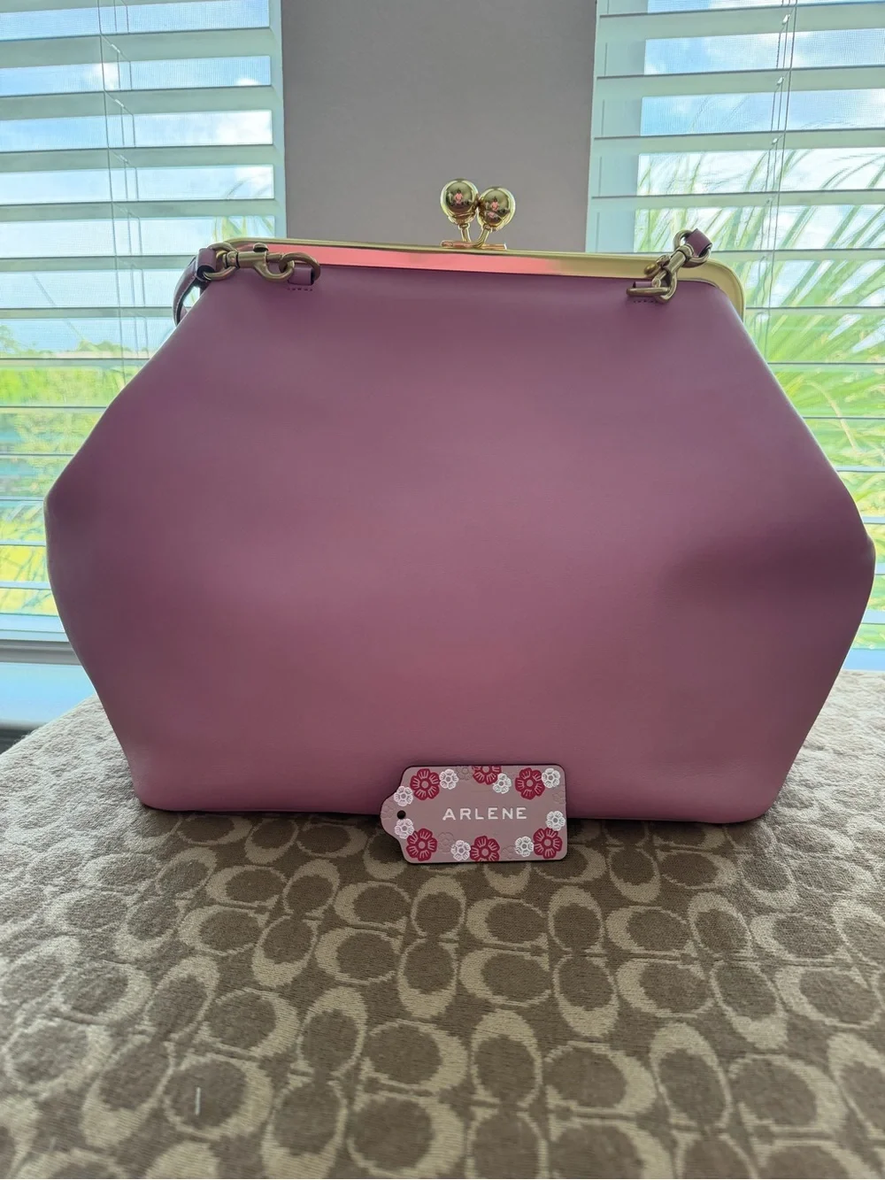 NWT Large Kisslock Frame Bag CBR51